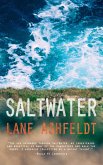 SaltWater (eBook, ePUB) SaltWater (eBook, ePUB)