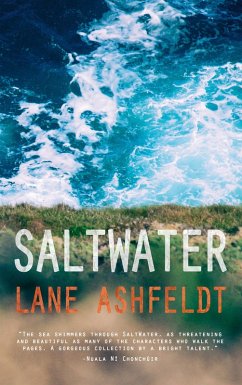 Cover SaltWater (eBook, ePUB)