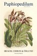 Paphiopedilum (eBook, ePUB) - Bild 1
