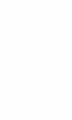 Cover Linguistique historique et sonouverture (eBook, PDF)