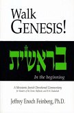Walking Genesis (eBook, ePUB)