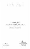L'afrique vue par ses jeunes -le chaos (eBook, PDF)