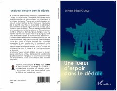 Une lueur d'espoir dans le dedale (eBook, PDF) - El Hadji Sega Gueye