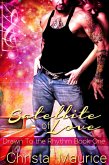 Satellite of Love (eBook, ePUB)