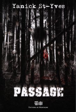 Passage (eBook, PDF) - St-Yves, Yanicks