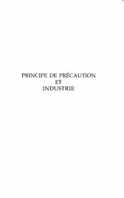 Principe de precaution et industrie (eBook, PDF)