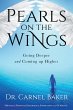 Pearls On the Wings (eBook, ePUB) - Bild 1