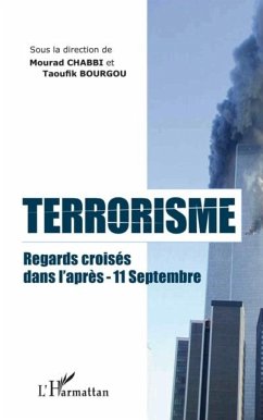 Terrorisme regards croises dans l'apres-11 septembre (eBook, PDF)