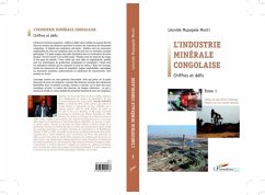 L'INDUSTRIE MINERALE CONGOLAIS- Chiffres et defis Tome 1 (eBook, PDF)