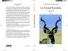 Le grand koudou - L'approche - Roman... - Bild 1