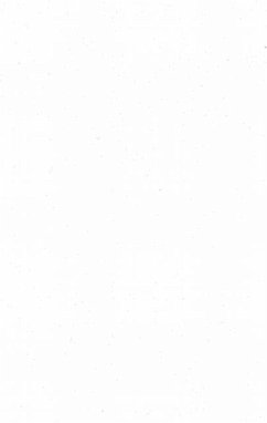 Cover LES IMMIGRANTS ET LA VILLE (eBook, PDF)