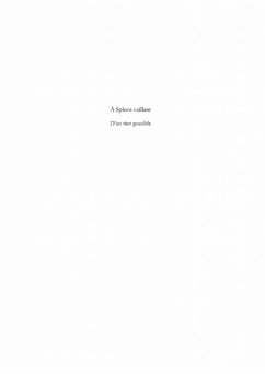 Cover spleen vaillant d'un rien possible (eBook, PDF)