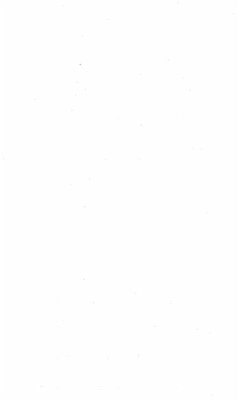 TOM SHARPE ECRIVAIN &quote; POPULAIRE &quote; (eBook, PDF)