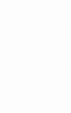 LA HONGRIE AU XXE SIECLE (eBook, PDF) LA HONGRIE AU XXE SIECLE (eBook, PDF)