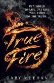 True Fire (eBook, ePUB)