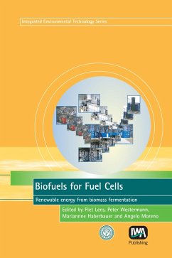 Biofuels for Fuel Cells (eBook, PDF)