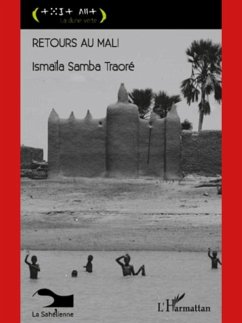 Retours au Mali (eBook, PDF)