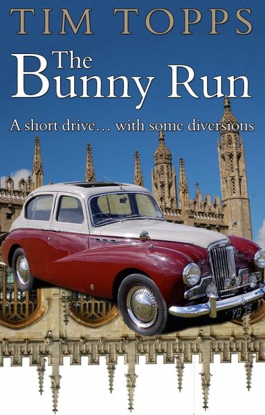 Bunny Run (eBook, ePUB)