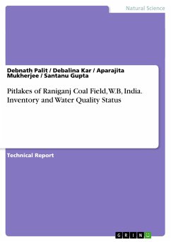 Pitlakes of Raniganj Coal Field, W.B, India. Inventory and Water Quality Status - Palit, Debnath;Gupta, Santanu;Mukherjee, Aparajita