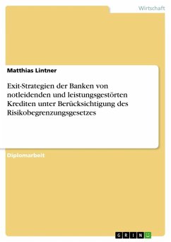 Exit-Strategien der Banken von notleidenden und leistungsgestörten Krediten unter Berücksichtigung des Risikobegrenzungsgesetzes (eBook, ePUB) - Lintner, Matthias