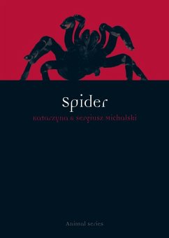 Cover Spider (eBook, ePUB)
