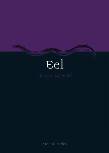Eel (eBook, ePUB) Eel (eBook, ePUB)