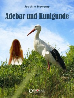 Adebar und Kunigunde (eBook, ePUB) - Nowotny, Joachim