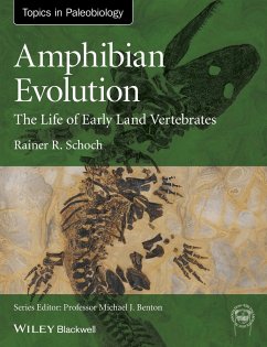 Amphibian Evolution (eBook, PDF) - Schoch, Rainer R.