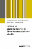 Leben im Erziehungsheim - Eine Kamerabrillenstudie (eBook, PDF)