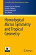 Homological Mirror Symmetry and... - Bild 1