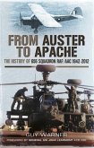 From Auster to Apache (eBook, ePUB)