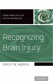 Recognizing Brain Injury (eBook, ePUB)