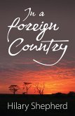 In a Foreign Country (eBook, ePUB)