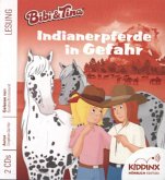 Bibi & Tina - Indianerpferde in Gefahr