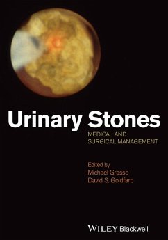 Urinary Stones (eBook, PDF)