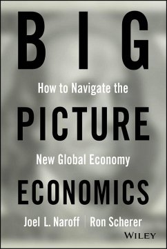 Cover Big Picture Economics (eBook, ePUB)