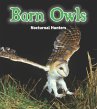 Barn Owls - Bild 1