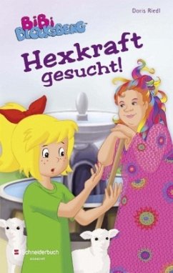 Hexkraft gesucht! / Bibi Blocksberg Sonderband Bd.10 - Riedl, Doris