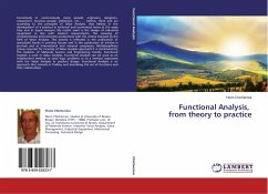 Functional Analysis, from theory to practice