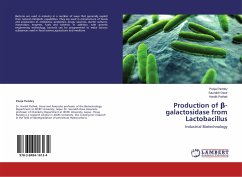 Production of ¿-galactosidase from Lactobacillus