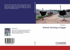 Ostrich Farming in Egypt