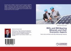 REEs and RM-Bearing Minerals and their Economic Aspects