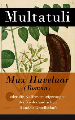 Max Havelaar (Roman) (eBook, ePUB) - Multatuli