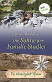 Die Söhne der Familie Stadler / Heimatglück Bd.6 (eBook, ePUB)