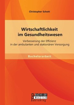 Wirtschaftlichkeit im Gesundheitswesen: Verbesserung der Effizienz in der ambulanten und stationären Versorgung - Schott, Christopher