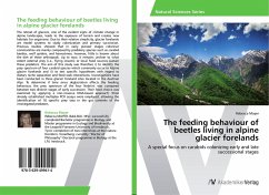 The feeding behaviour of beetles living in alpine glacier forelands