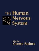 The Human Nervous System (eBook, PDF)