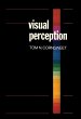 Visual Perception (eBook, PDF) - Bild 1