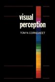 Visual Perception (eBook, PDF)