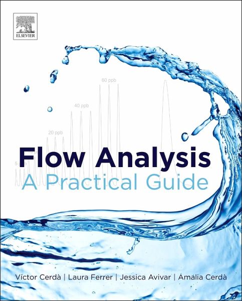 Flow Analysis (eBook, ePUB)